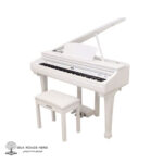 Albinoni-GP-300-Digital-Piano