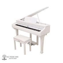 پیانو دیجیتال آلبینونی مدل GP-300