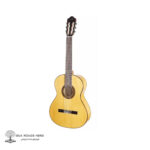 Gitar-Flamingot-Almanza-413