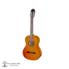 Gitar-Flamingot-Almanza-413-br